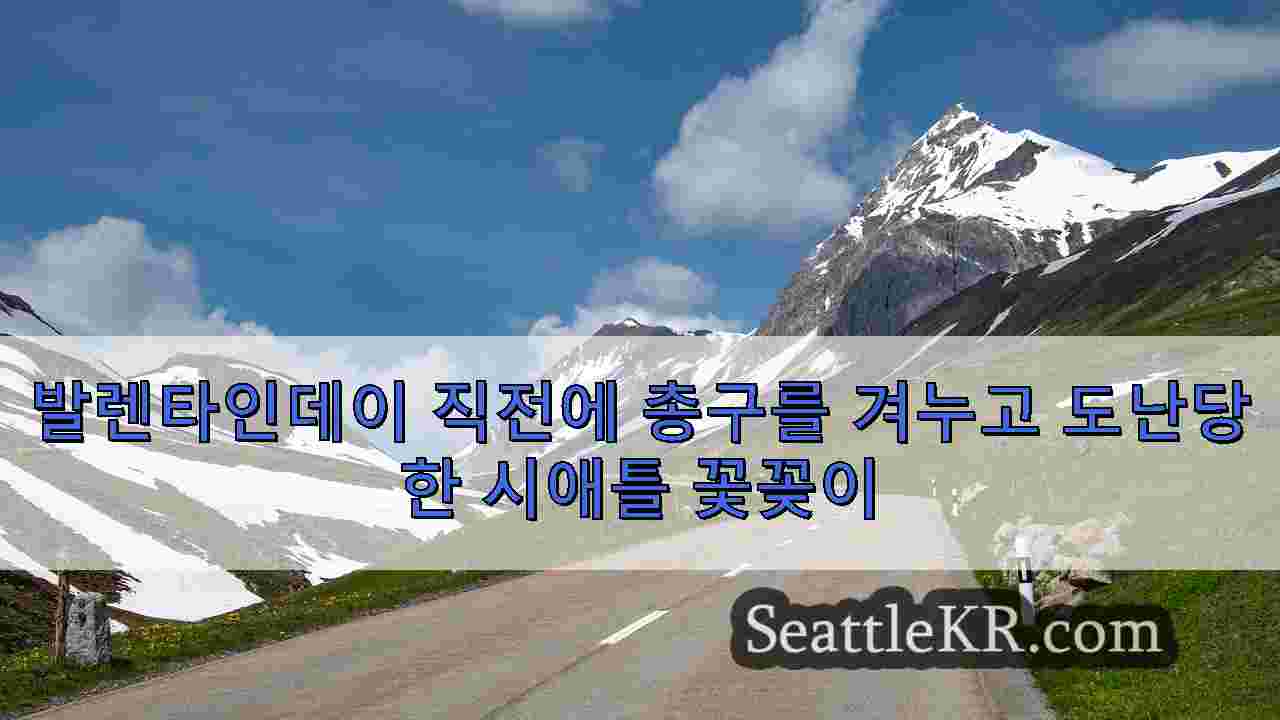 시애틀 뉴스 SeattleKR