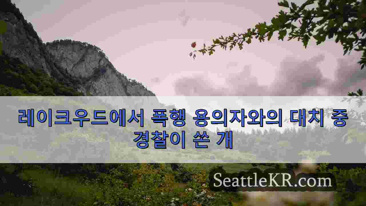 시애틀 뉴스 SeattleKR