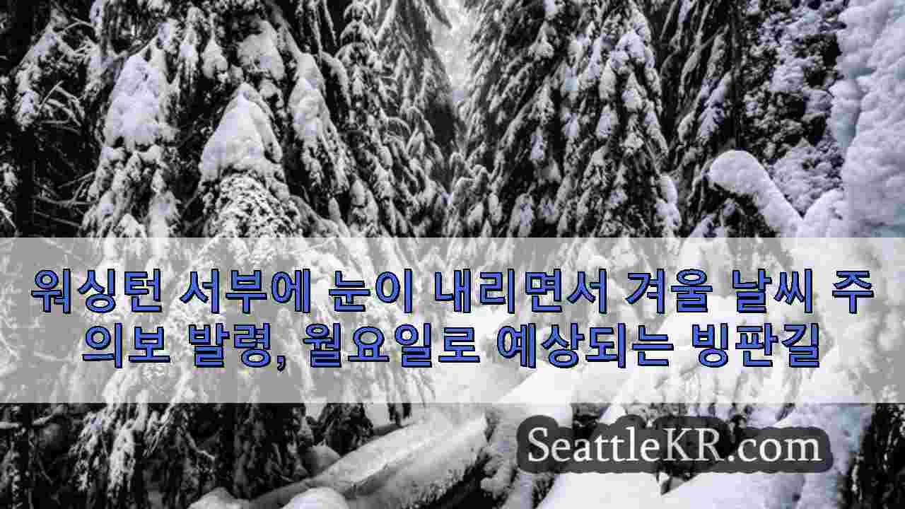 시애틀 뉴스 SeattleKR