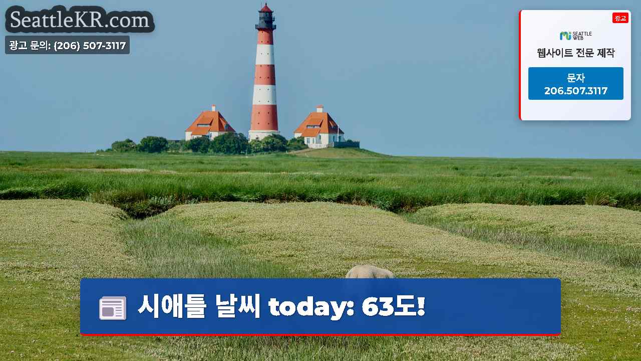 시애틀 날씨 today 63도!