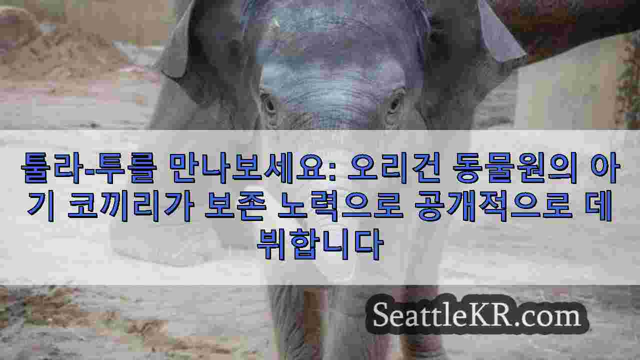 시애틀 뉴스 SeattleKR