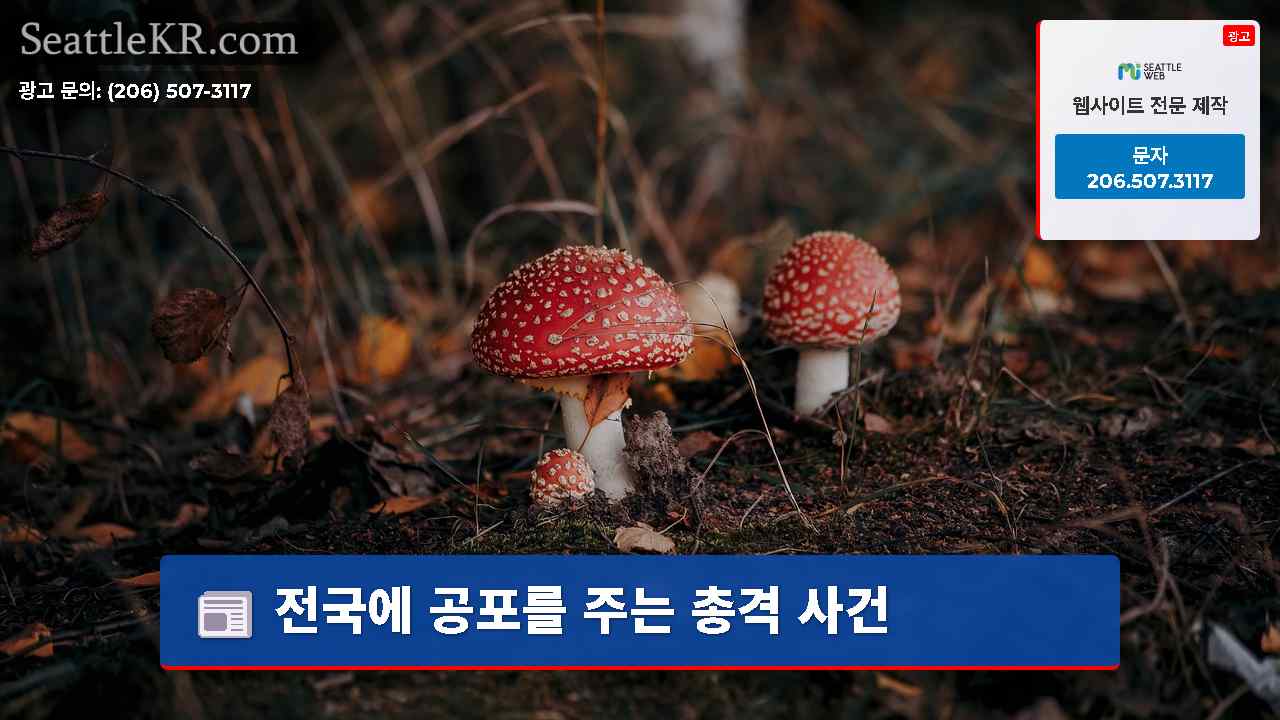 시애틀 뉴스 SeattleKR