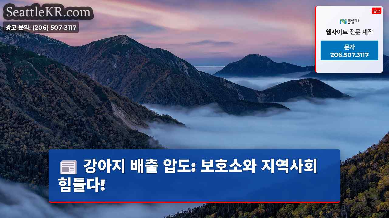 시애틀 뉴스 SeattleKR