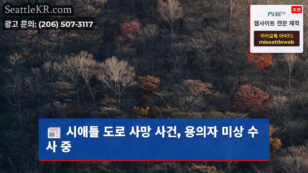 시애틀 뉴스 SeattleKR