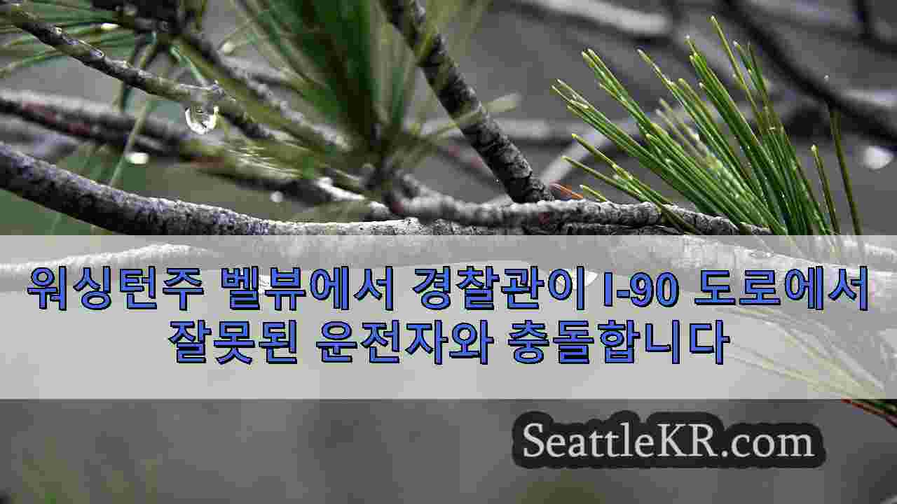 시애틀 뉴스 SeattleKR