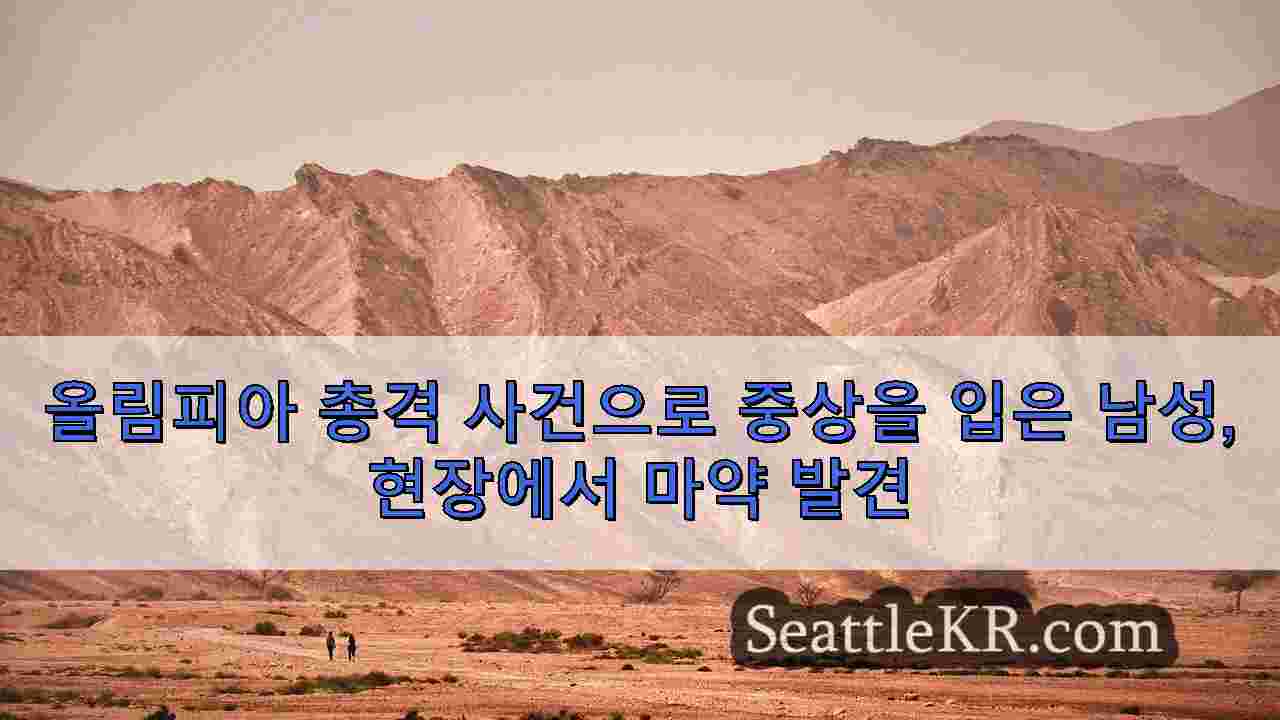 시애틀 뉴스 SeattleKR