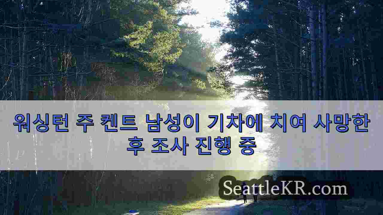 시애틀 뉴스 SeattleKR