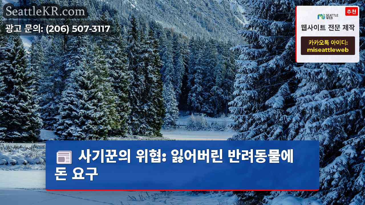 시애틀 뉴스 SeattleKR