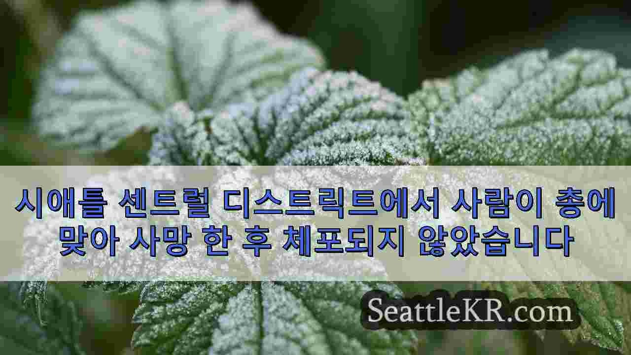 시애틀 뉴스 SeattleKR
