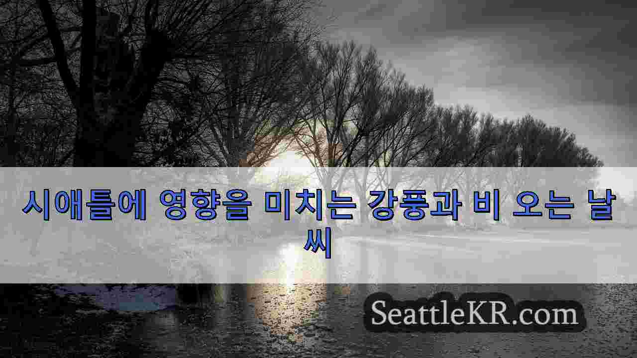 시애틀 뉴스 SeattleKR