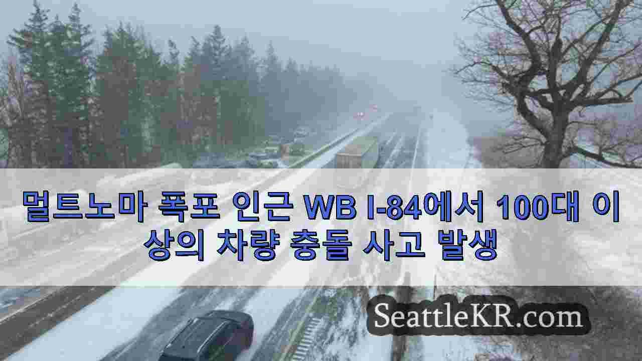 시애틀 뉴스 SeattleKR
