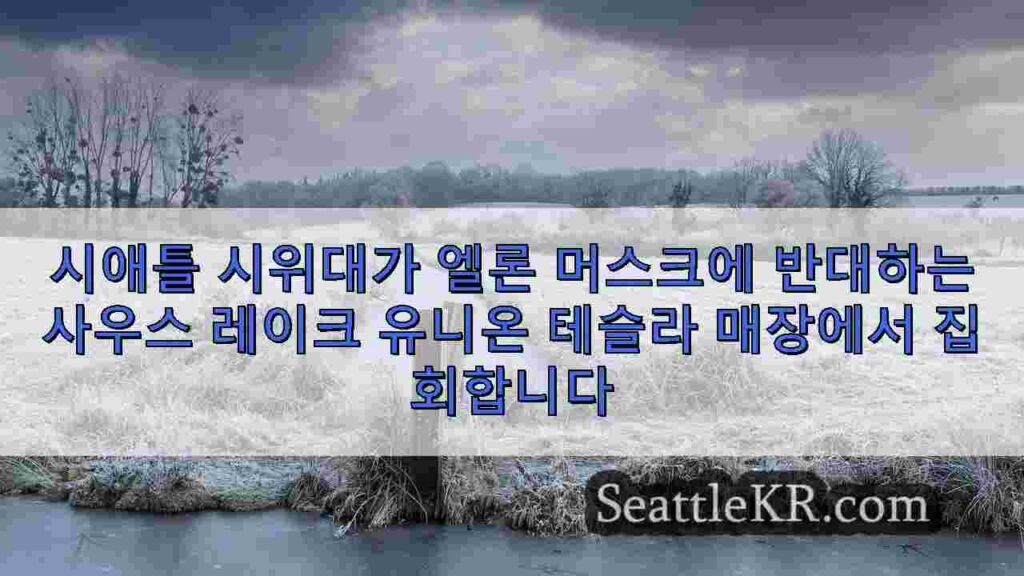 시애틀 시위대가 엘론 머스크에 반대하는 사우스 레이크 유니온 테슬라