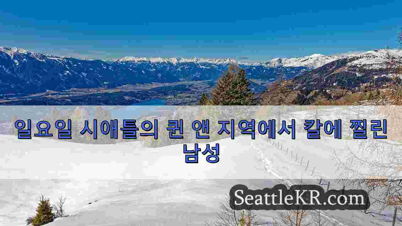 시애틀 뉴스 SeattleKR