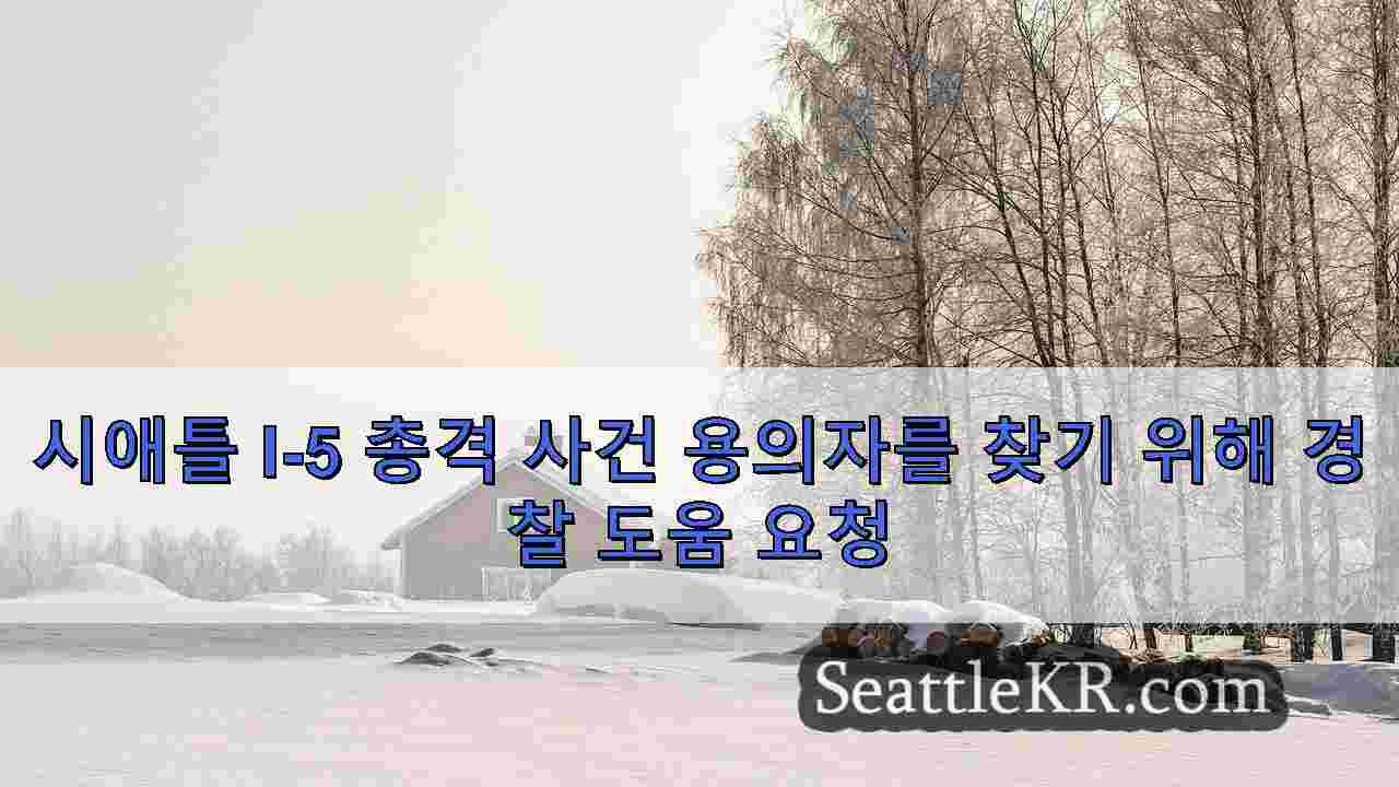 시애틀 뉴스 SeattleKR