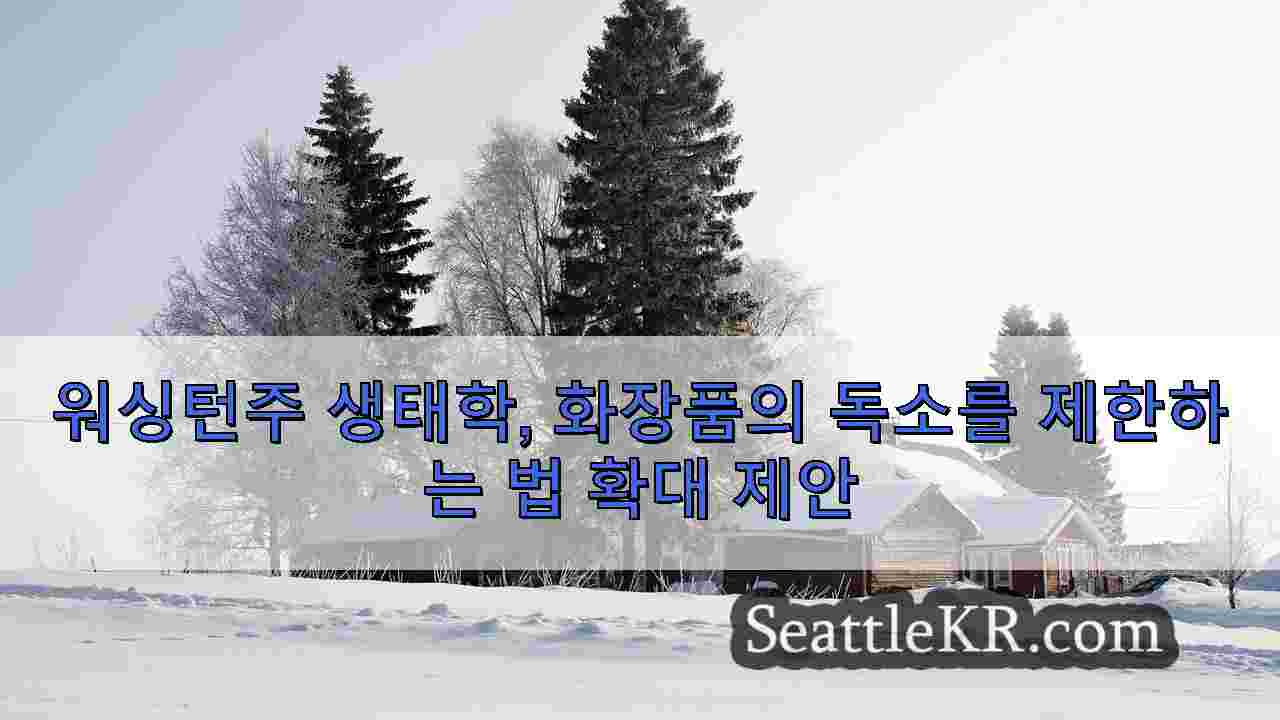 시애틀 뉴스 SeattleKR