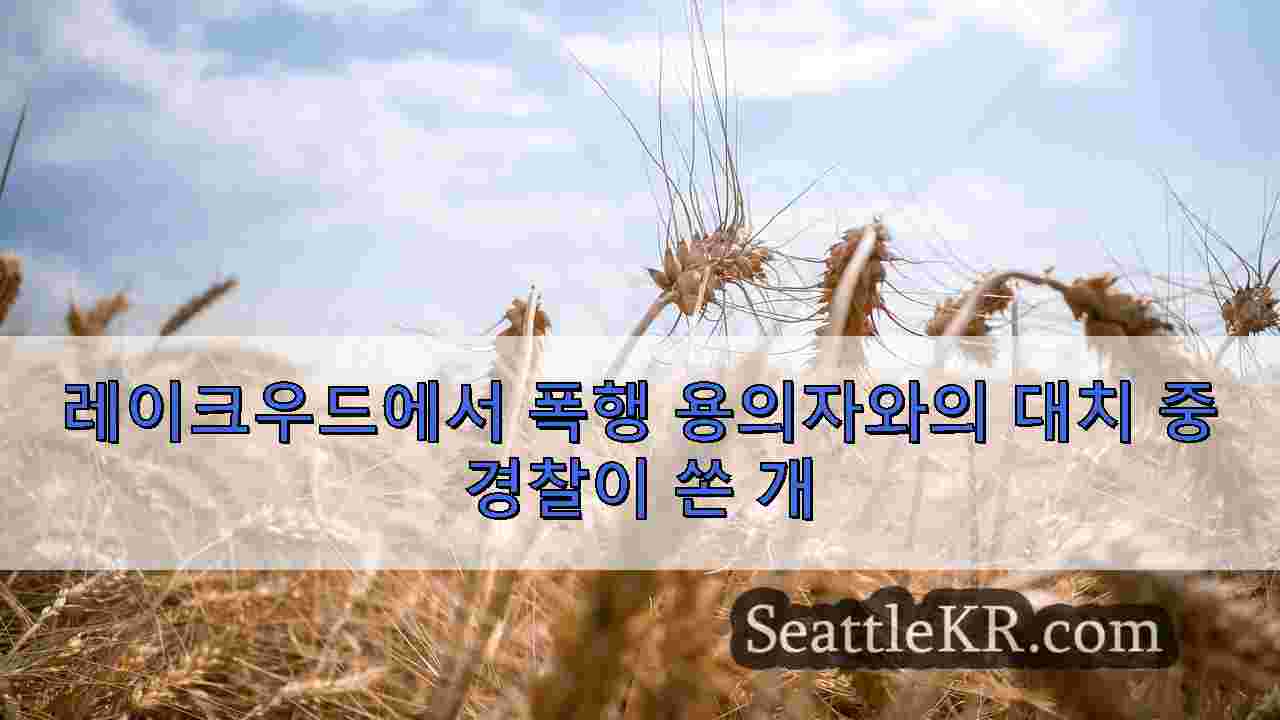 시애틀 뉴스 SeattleKR