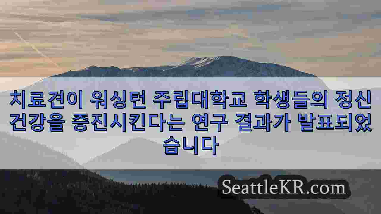 시애틀 뉴스 SeattleKR