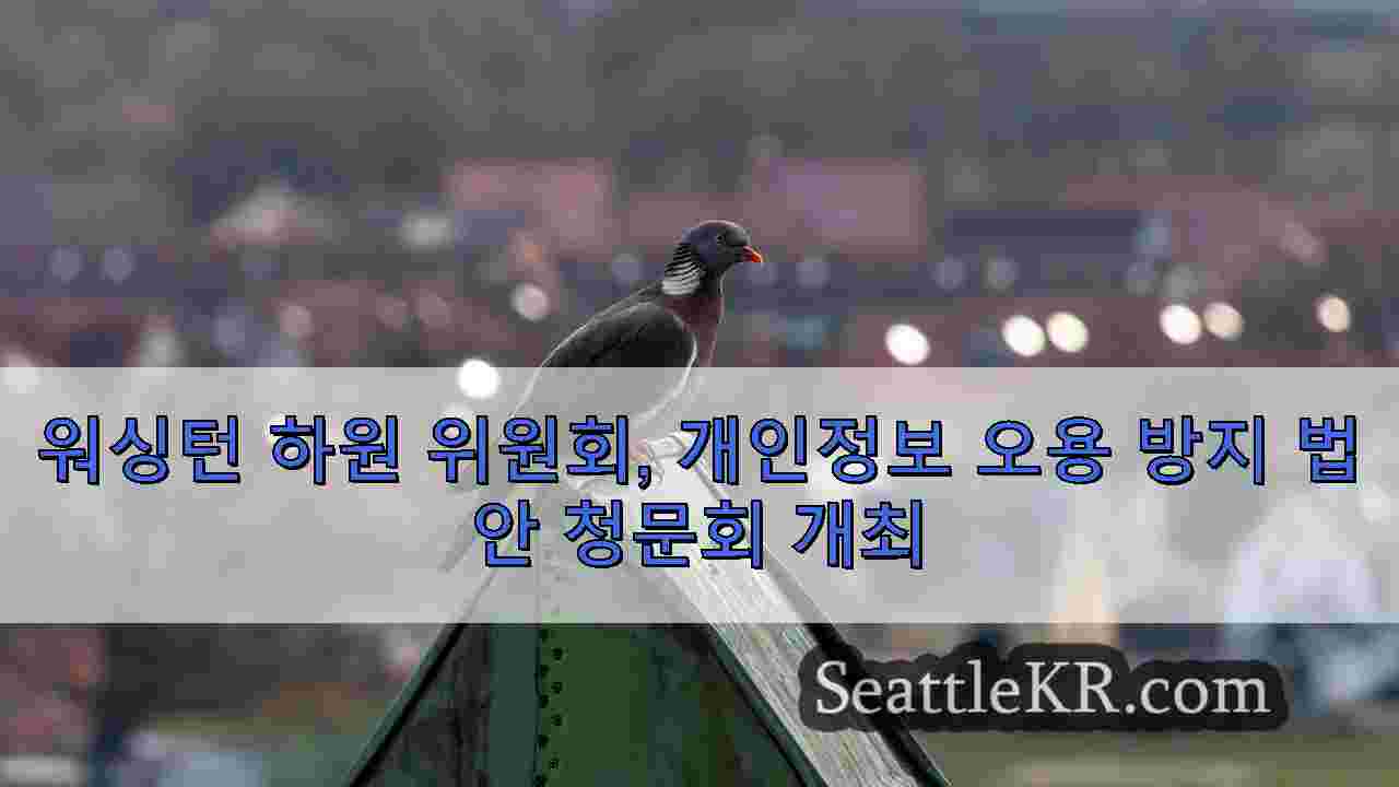 시애틀 뉴스 SeattleKR