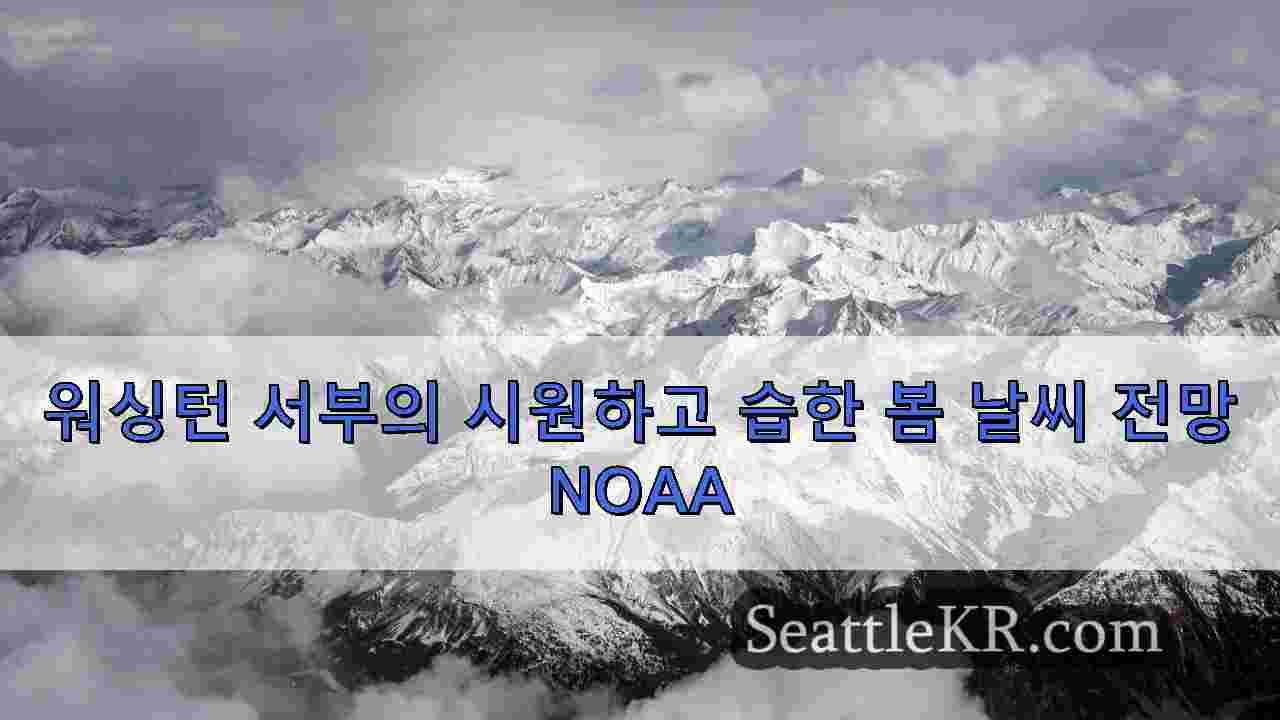 시애틀 뉴스 SeattleKR