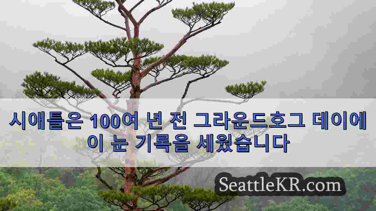 시애틀 뉴스 SeattleKR