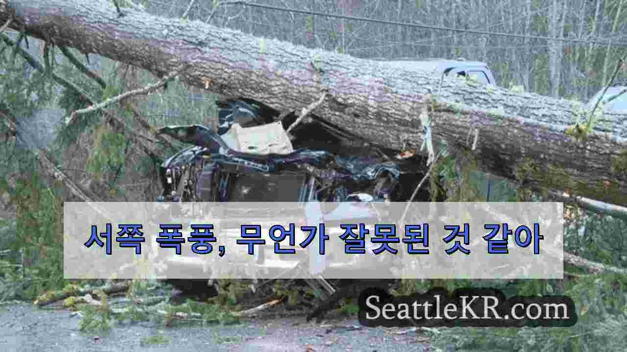 시애틀 뉴스 SeattleKR