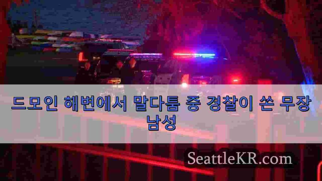 드모인 해변에서 말다툼 중 경찰이 쏜 무장 남성