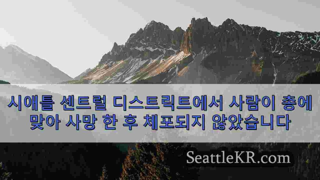 시애틀 센트럴 디스트릭트에서 사람이 총에 맞아 사망 한 후 체포되지