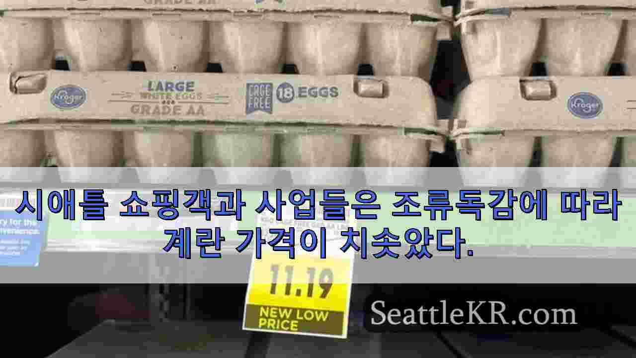 시애틀 뉴스 SeattleKR