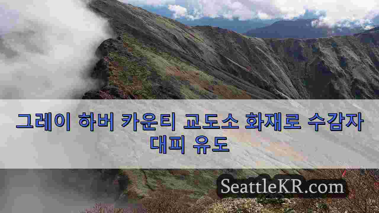 시애틀 뉴스 SeattleKR