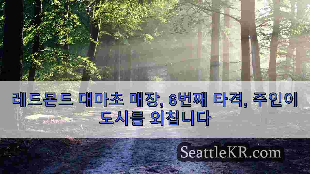 시애틀 뉴스 SeattleKR