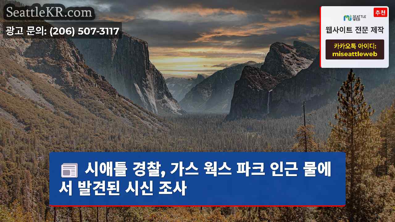 시애틀 뉴스 SeattleKR
