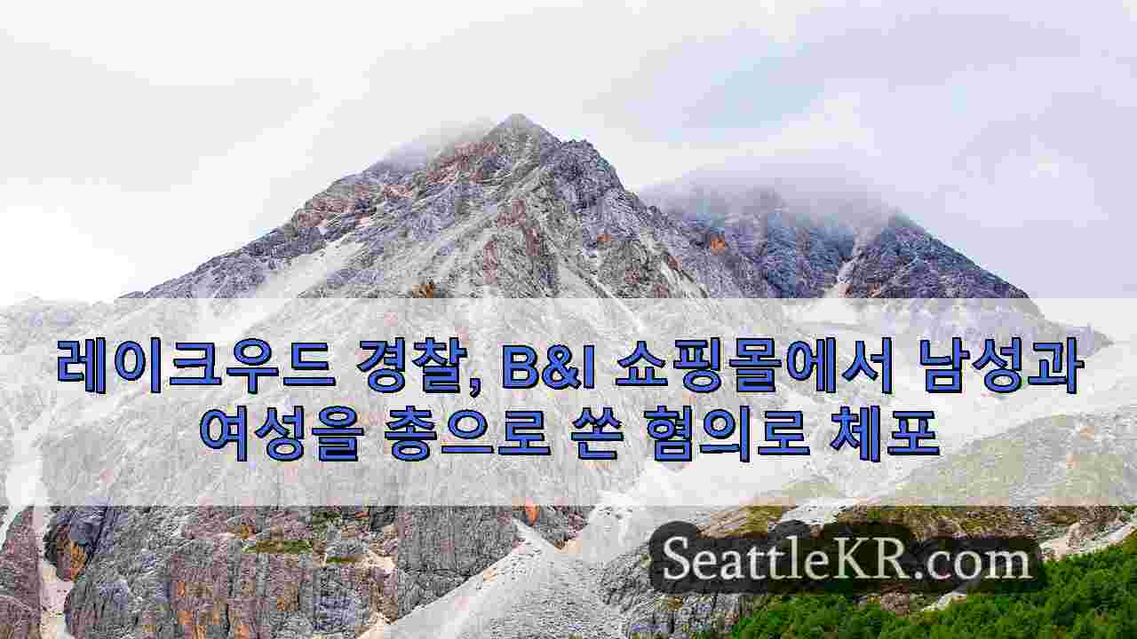 시애틀 뉴스 SeattleKR