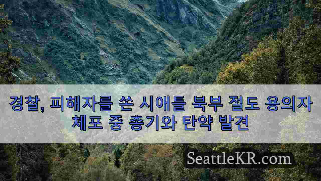 시애틀 뉴스 SeattleKR