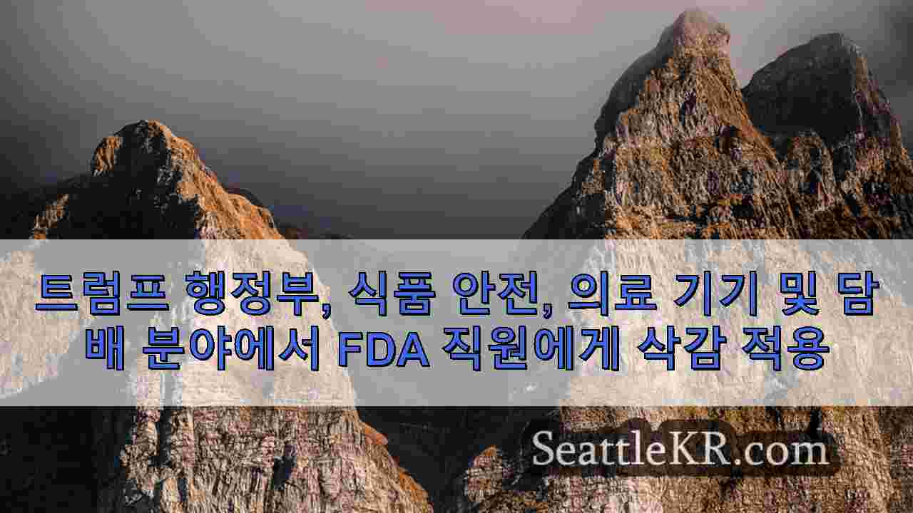 시애틀 뉴스 SeattleKR