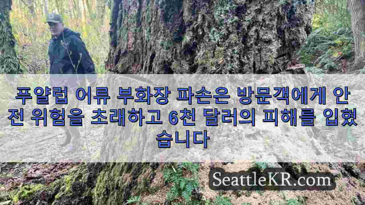 시애틀 뉴스 SeattleKR