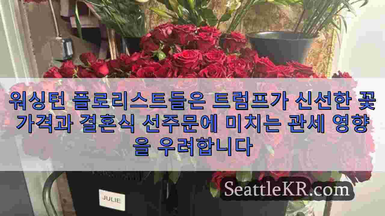 시애틀 뉴스 SeattleKR