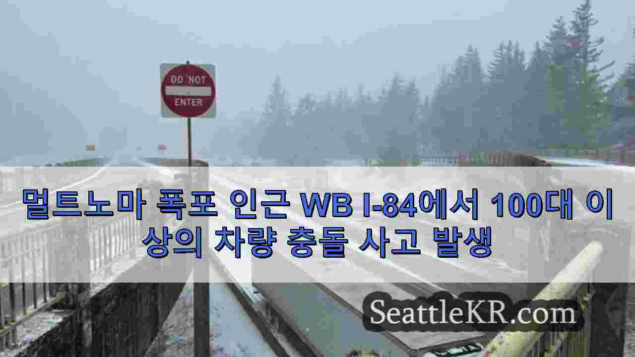시애틀 뉴스 SeattleKR