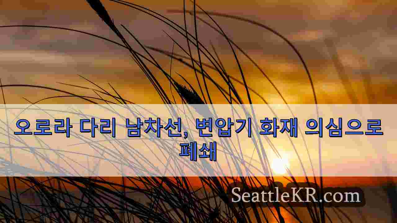 시애틀 뉴스 SeattleKR