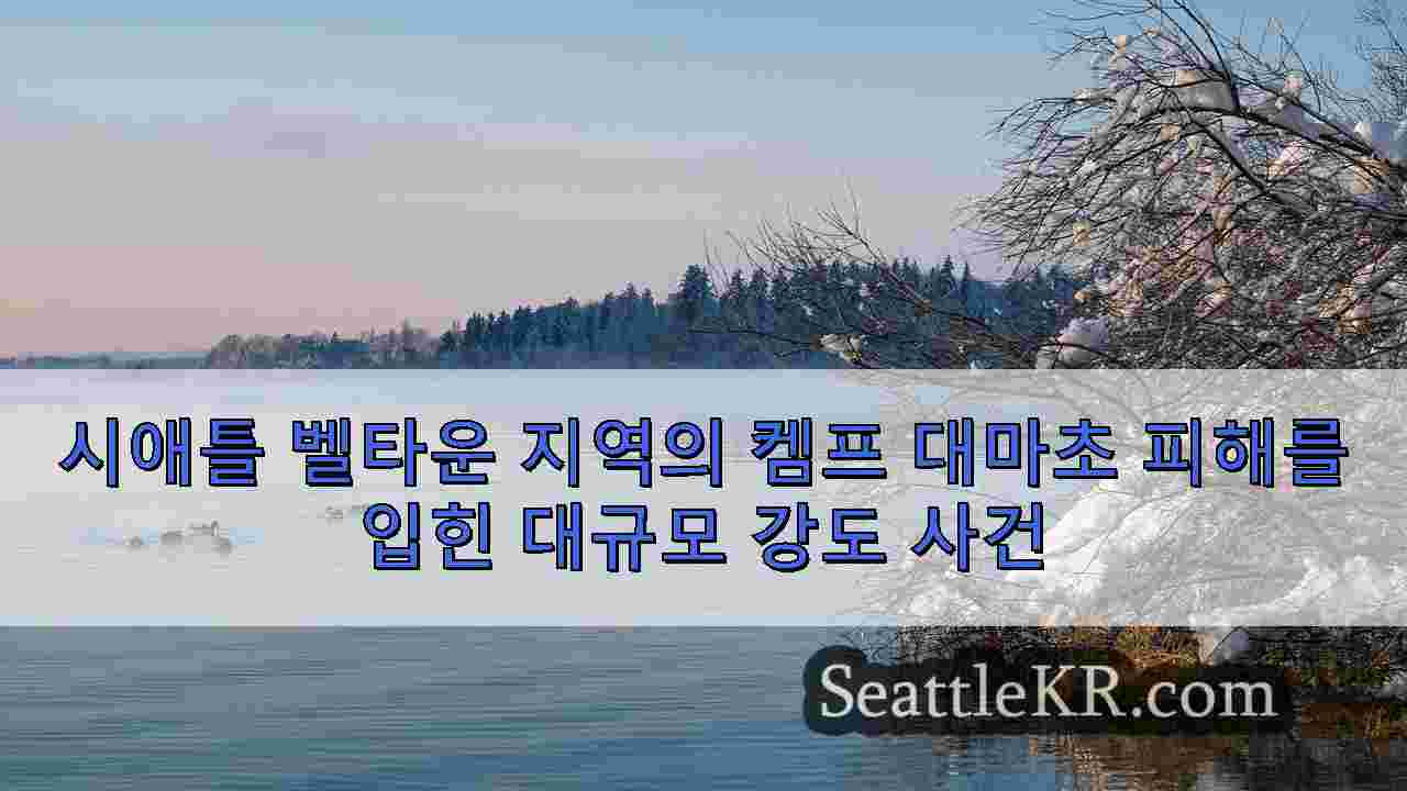 시애틀 뉴스 SeattleKR