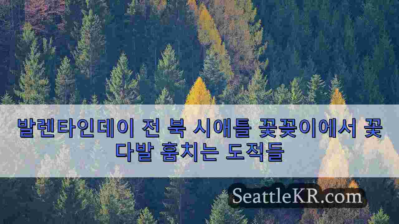 시애틀 뉴스 SeattleKR
