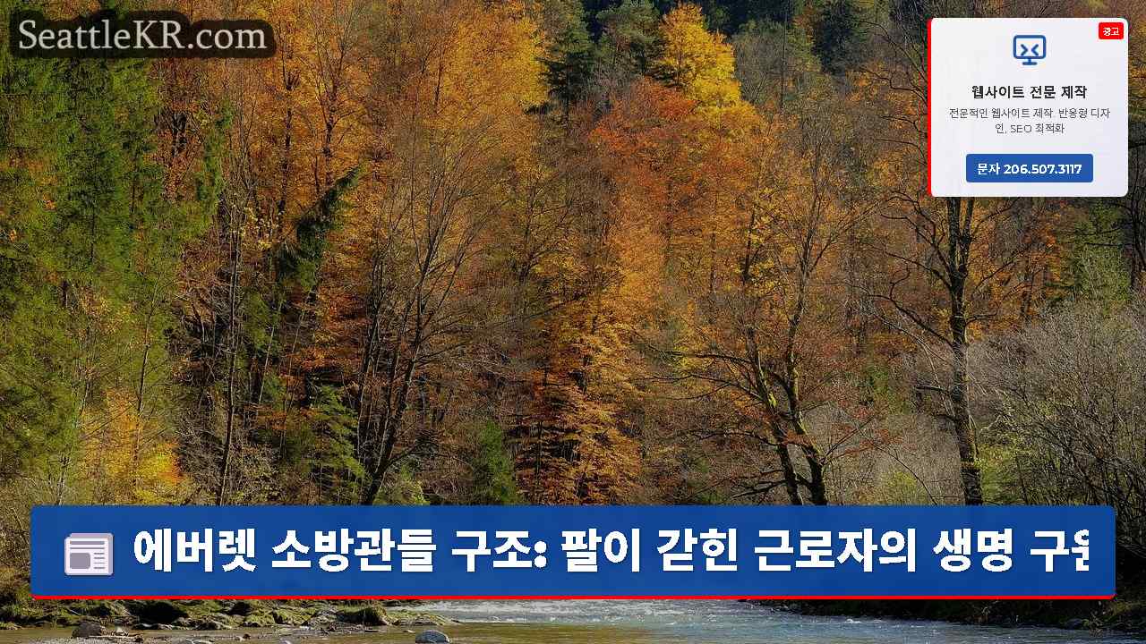 시애틀 뉴스 SeattleKR