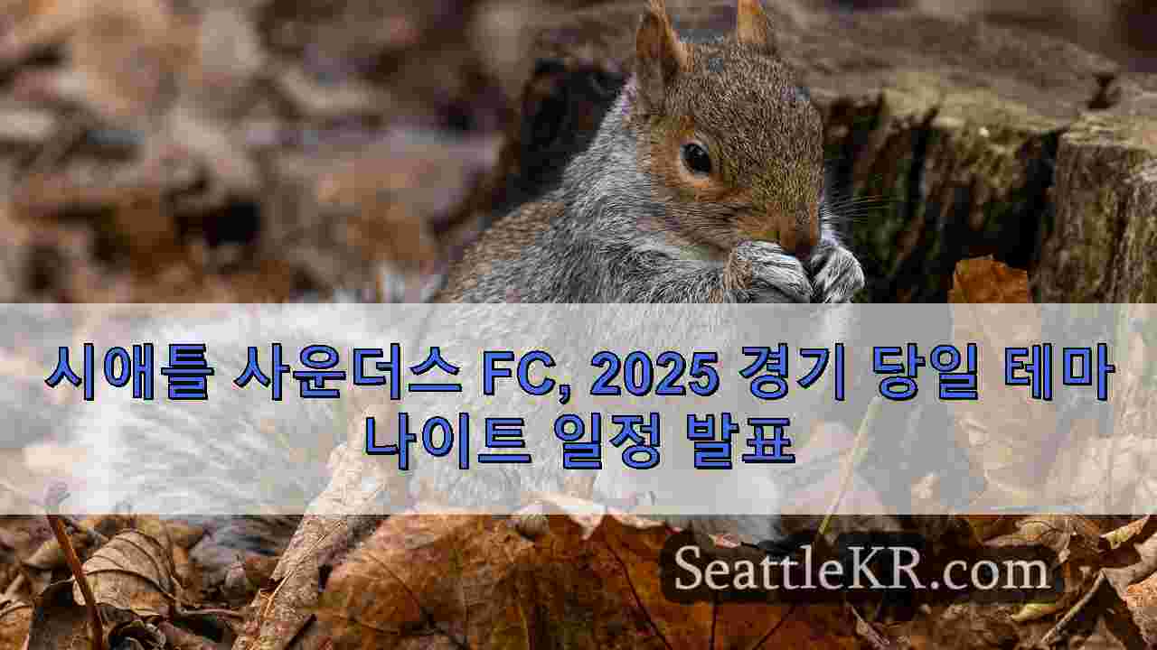 시애틀 뉴스 SeattleKR