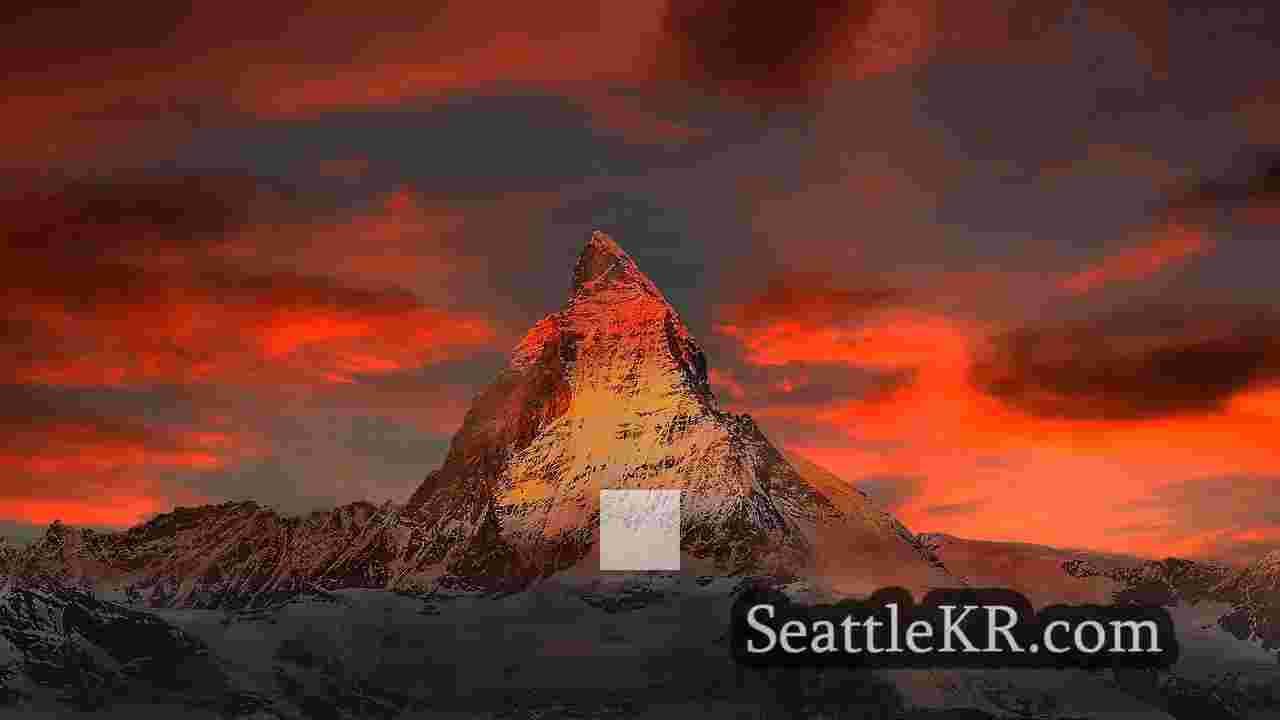 시애틀 뉴스 SeattleKR