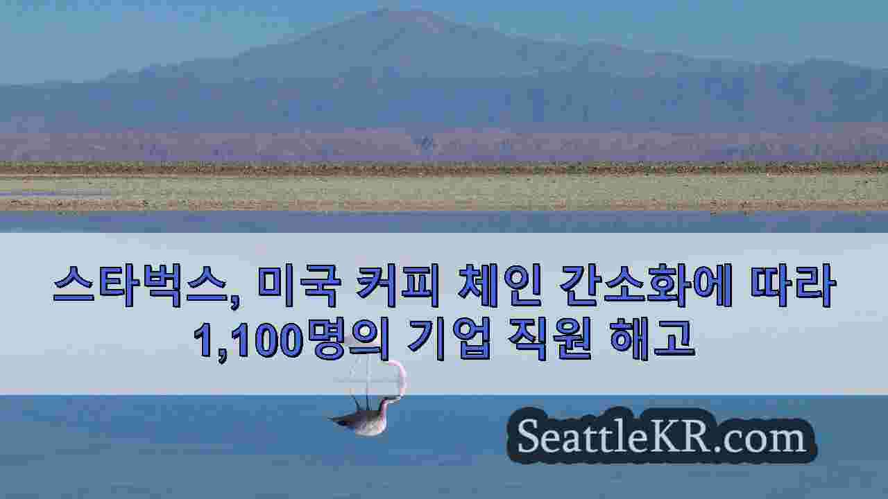 시애틀 뉴스 SeattleKR