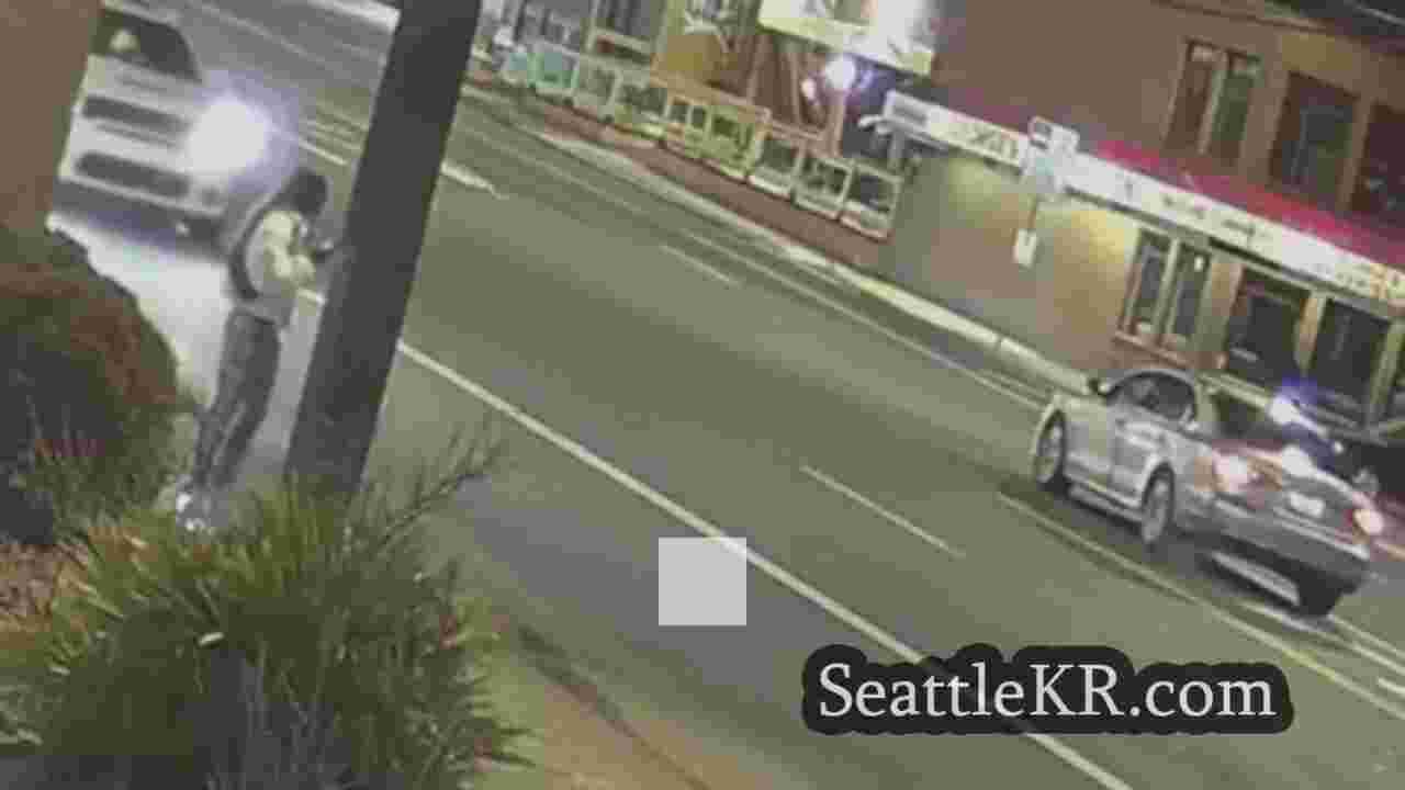 시애틀 뉴스 SeattleKR