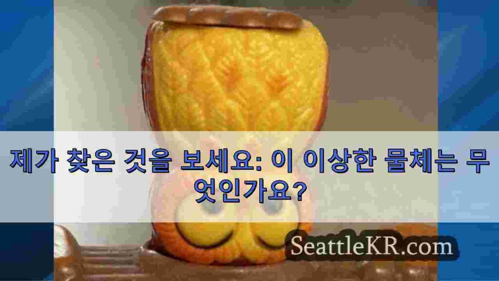 제가 찾은 것을 보세요: 이 이상한 물체는 무엇인가요?