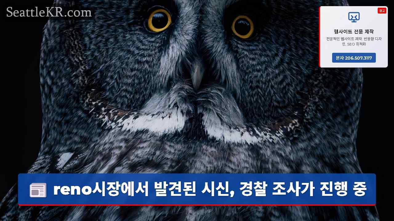 시애틀 뉴스 SeattleKR