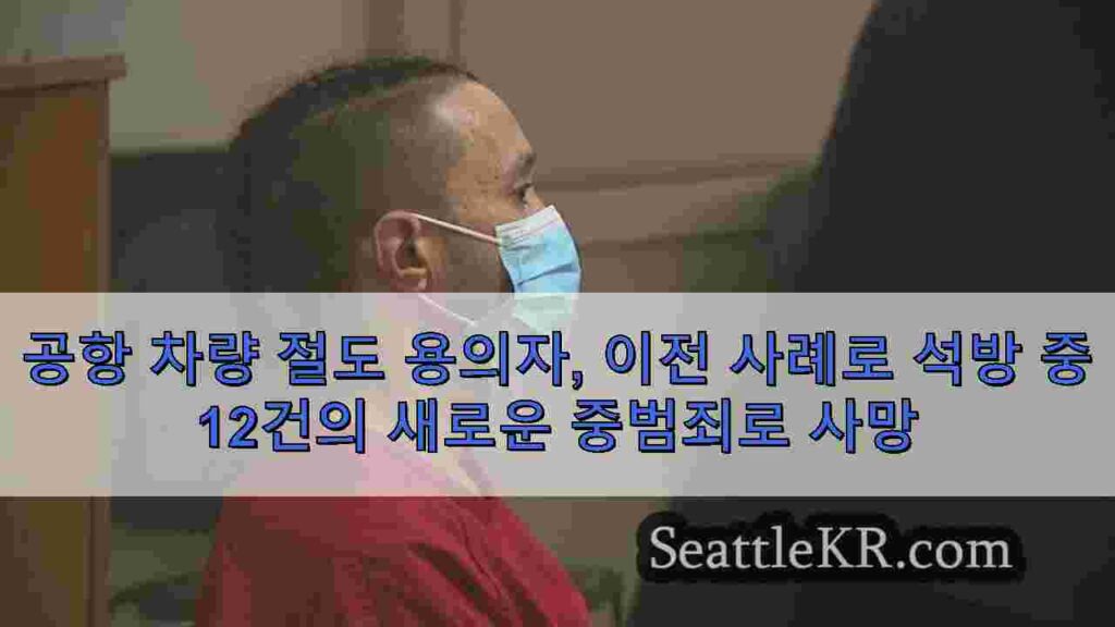 공항 차량 절도 용의자, 이전 사례로 석방 중 12건의 새로운 중범죄로