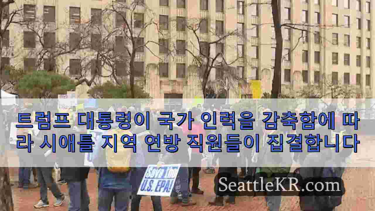 시애틀 뉴스 SeattleKR