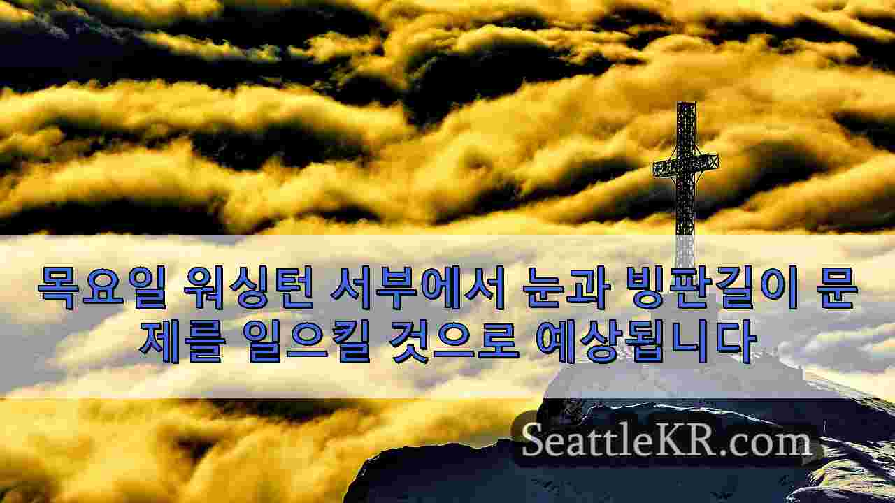 시애틀 뉴스 SeattleKR